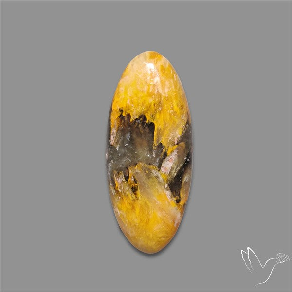 Bumble Bee Jasper Cabochon