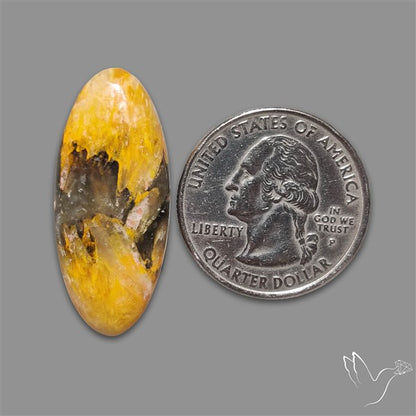 Bumble Bee Jasper Cabochon