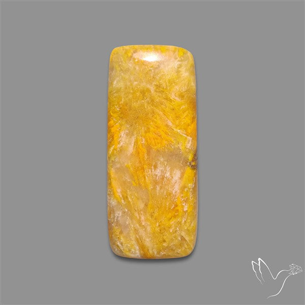 Bumble Bee Jasper Cabochon