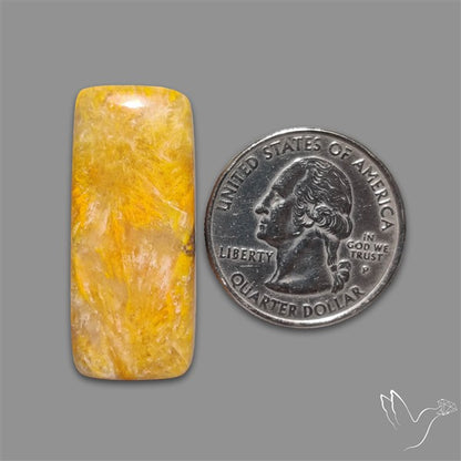 Bumble Bee Jasper Cabochon