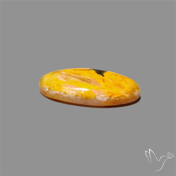 Bumble Bee Jasper Cabochon