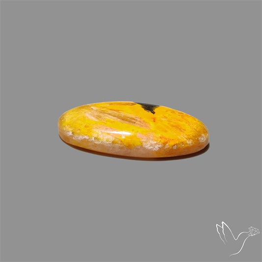 Bumble Bee Jasper Cabochon