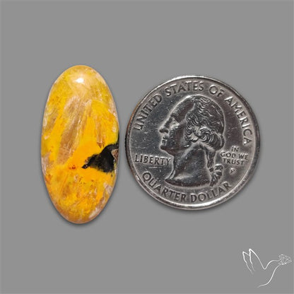 Bumble Bee Jasper Cabochon