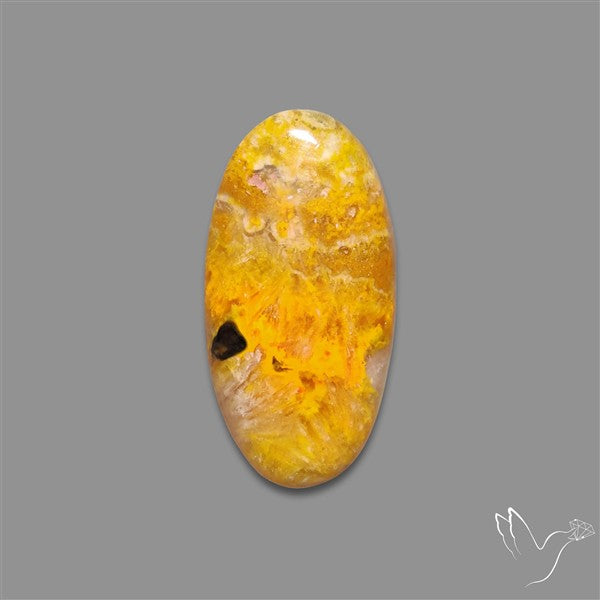Bumble Bee Jasper Cabochon