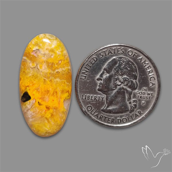 Bumble Bee Jasper Cabochon