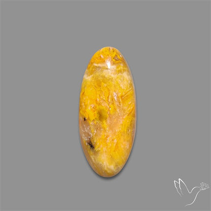 Bumble Bee Jasper Cabochon