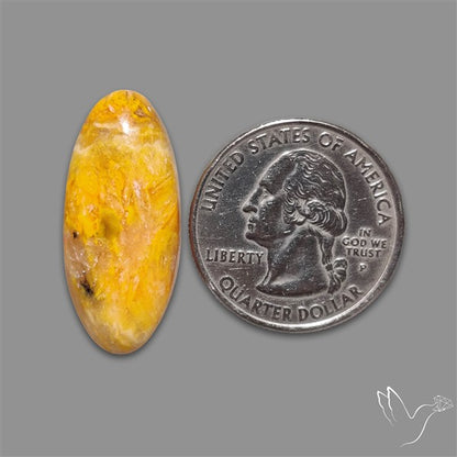 Bumble Bee Jasper Cabochon