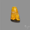 Bumble Bee Jasper Cabochon