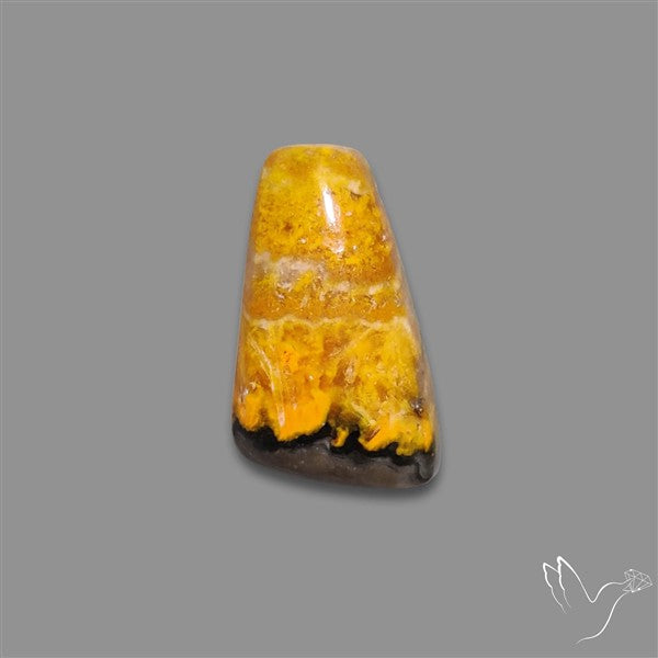 Bumble Bee Jasper Cabochon