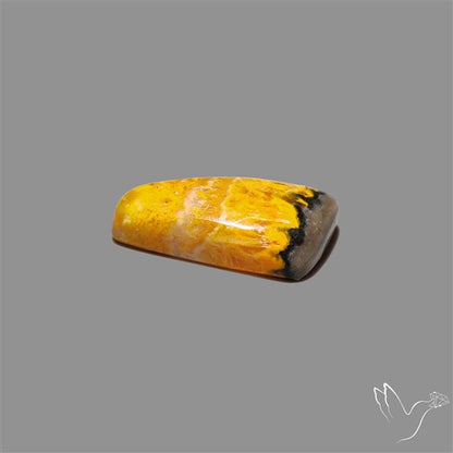 Bumble Bee Jasper Cabochon
