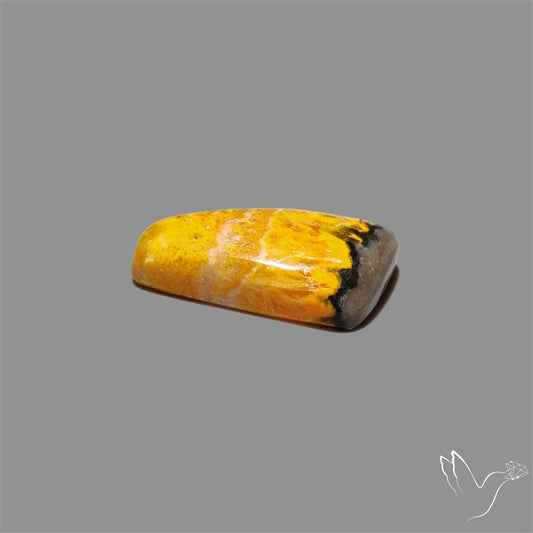 Bumble Bee Jasper Cabochon