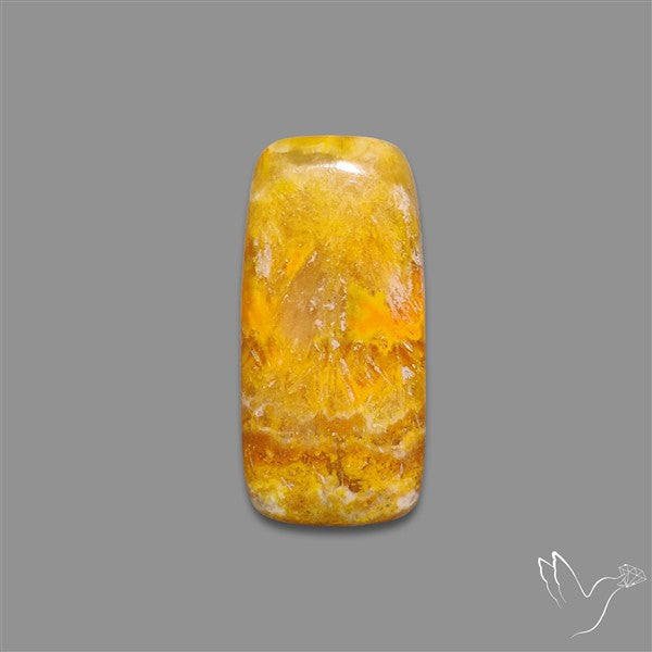 Bumble Bee Jasper Cabochon