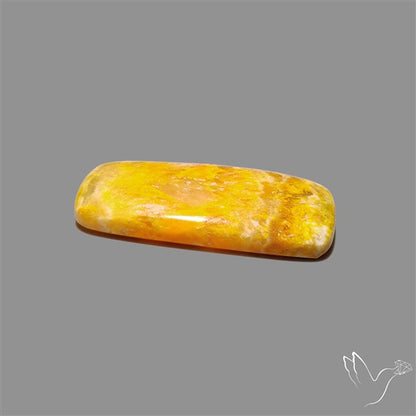 Bumble Bee Jasper Cabochon