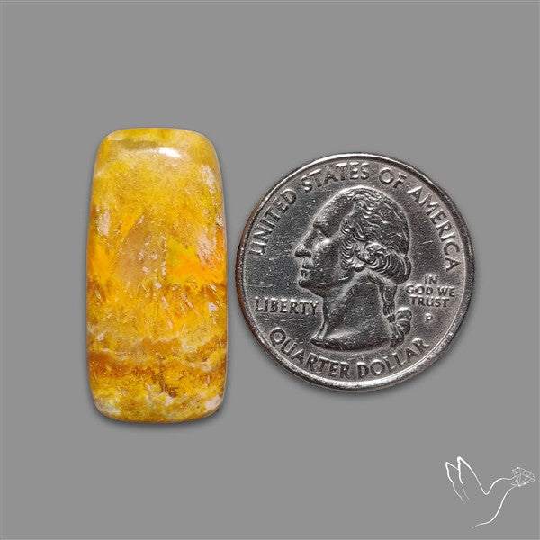 Bumble Bee Jasper Cabochon