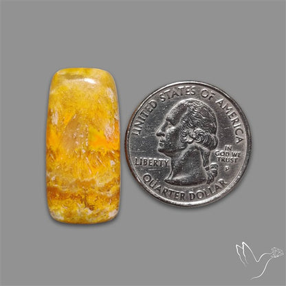 Bumble Bee Jasper Cabochon