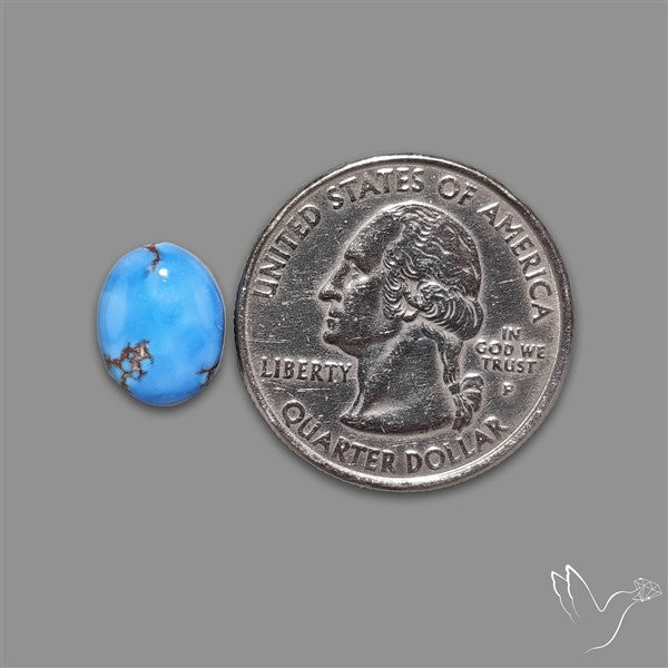 Golden Hill Turquoise Cabochon