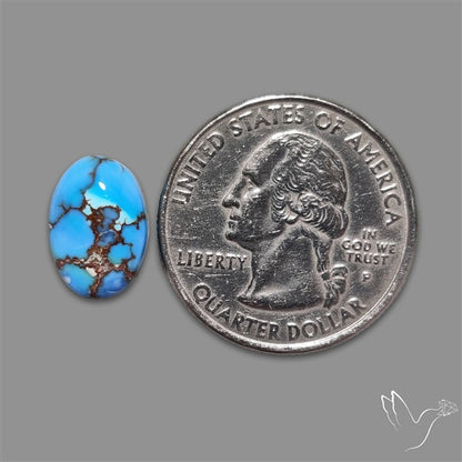 Golden Hill Turquoise Cabochon