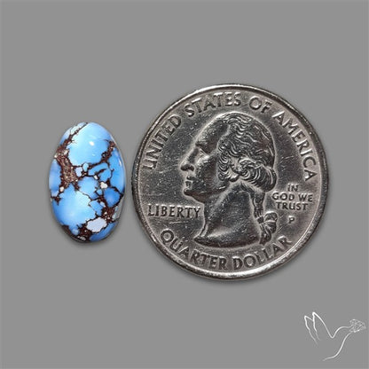 Golden Hill Turquoise Cabochon