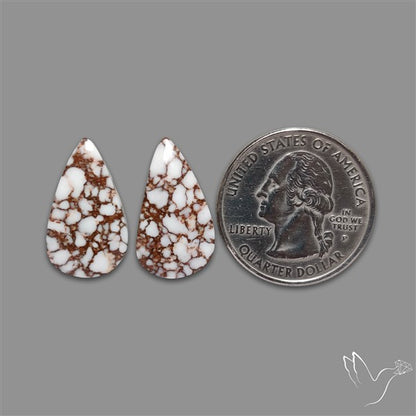 Wild Horse Jasper Pair