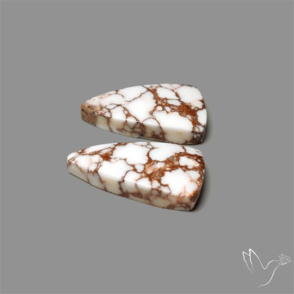 Wild Horse Jasper Pair