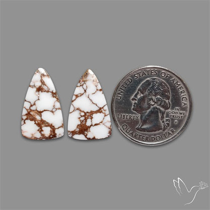 Wild Horse Jasper Pair