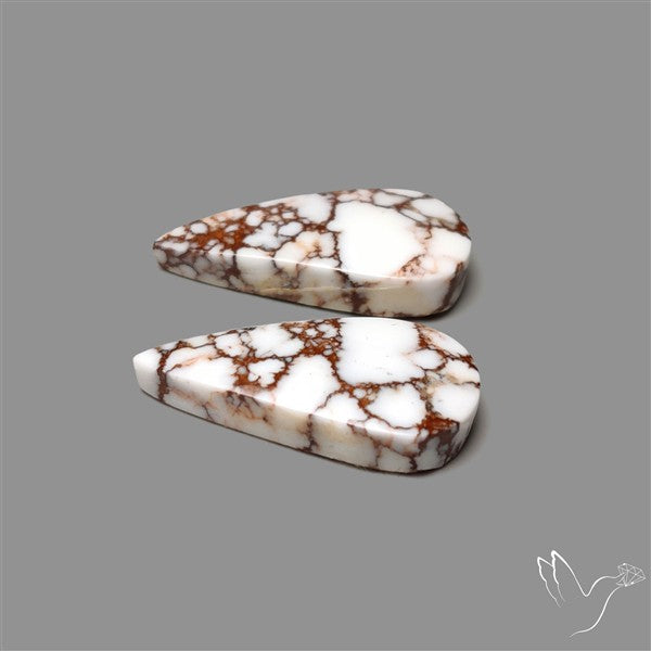 Wild Horse Jasper Pair