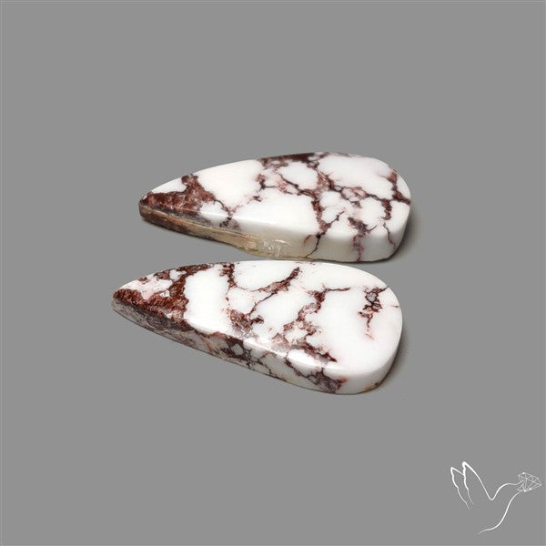 Wild Horse Jasper Pair