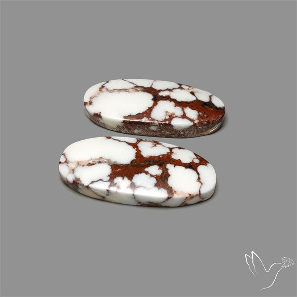 Wild Horse Jasper Pair