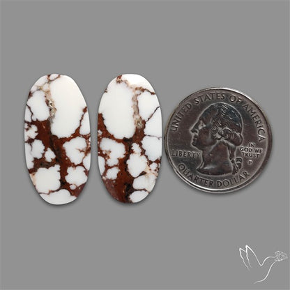 Wild Horse Jasper Pair