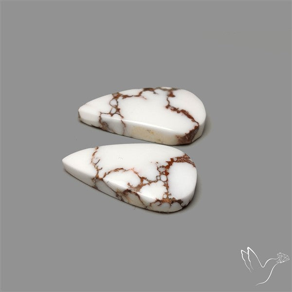 Wild Horse Jasper Pair