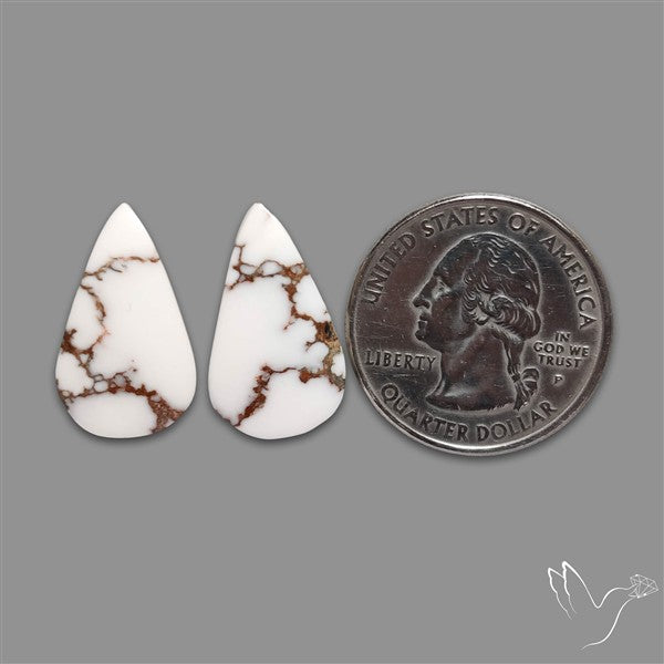 Wild Horse Jasper Pair
