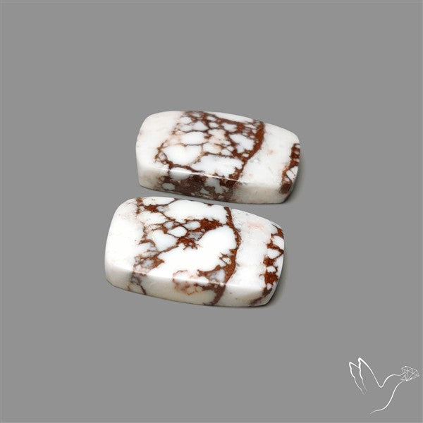 Wild Horse Jasper Pair