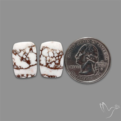 Wild Horse Jasper Pair