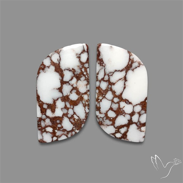 Wild Horse Jasper Pair