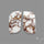 Wild Horse Jasper Pair