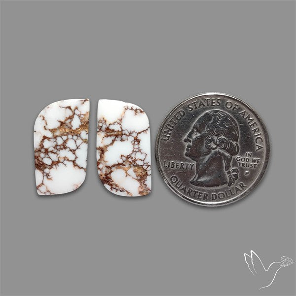 Wild Horse Jasper Pair