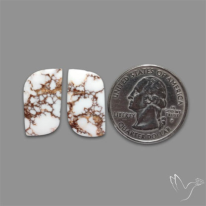 Wild Horse Jasper Pair