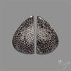 Black Fossil Coral Pair