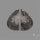 Black Fossil Coral Pair