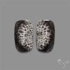 Black Fossil Coral Pair
