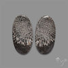 Black Fossil Coral Pair