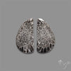 Black Fossil Coral Pair