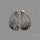 Black Fossil Coral Pair