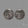 Black Fossil Coral Pair