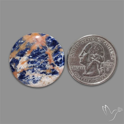 Sodalite Cabochon