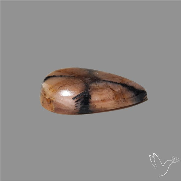 Chiastolite Cross Stone Cabochon