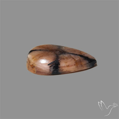 Chiastolite Cross Stone Cabochon