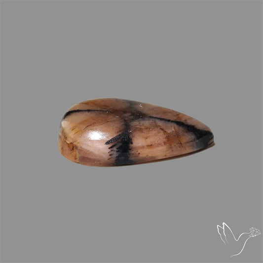 Chiastolite Cross Stone Cabochon