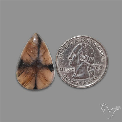 Chiastolite Cross Stone Cabochon
