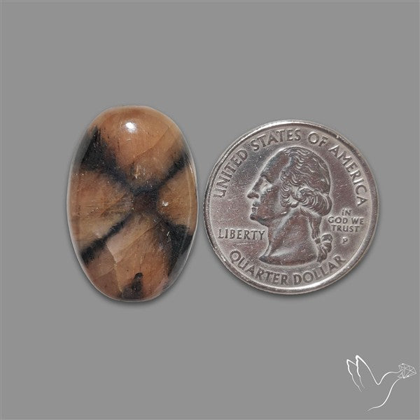 Chiastolite Cross Stone Cabochon